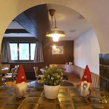 Pensjonat Casa Crap Trin