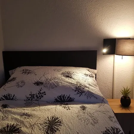 Pensjonat Casa Crap Trin