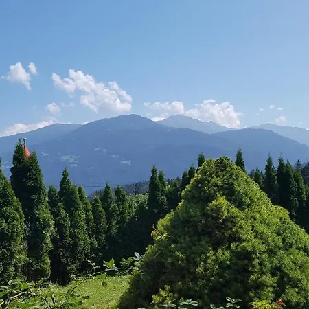 Casa Crap ゲストハウス Trin